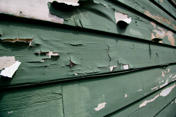Best Siding for Commercial Buildings  in Kronenwetter, WI