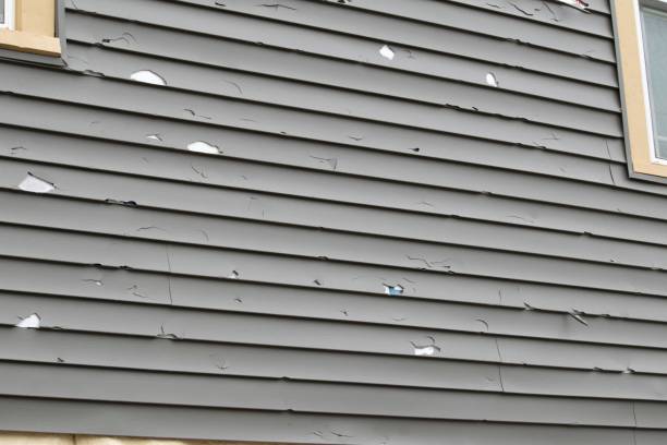 Siding for Commercial Buildings in Kronenwetter, WI