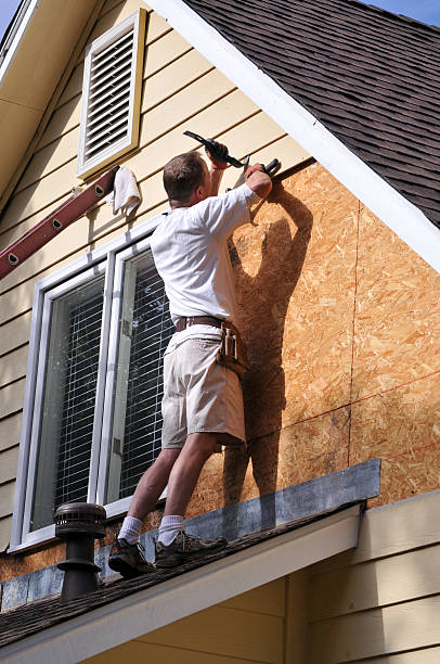 Best Brick Veneer Siding  in Kronenwetter, WI
